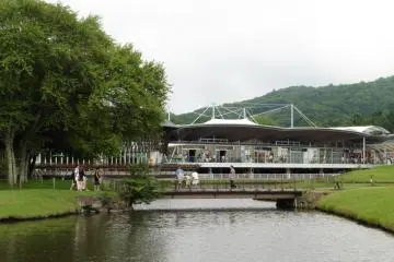 Gallery image
