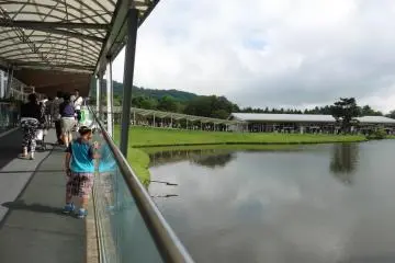 <p>Une longue all&eacute;e permet de faire le tour du lac</p>
