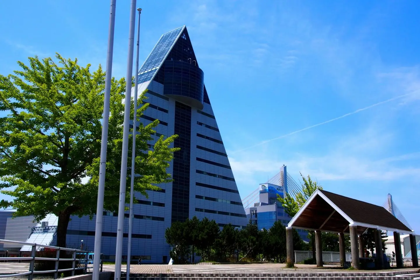 A Stroll Along Aomori Bay