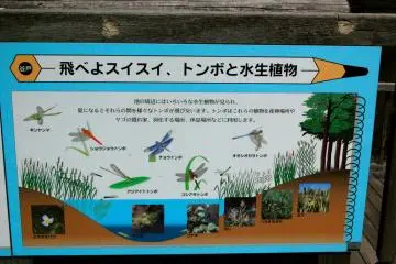 Yatoyama Park