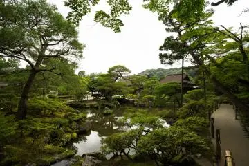 สระน้ำใสสะอาดทำให้เห็นภาพสะท้อนในน้ำที่สวยงดงาม