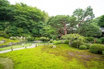 <p>The beautiful garden.&nbsp;</p>