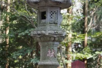 <p>Ishidoro in the woods</p>