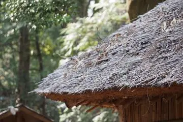 <p>Thatch roof on a historical building near Seisho pond at the back of Nogi Shrine</p>