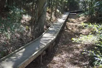 <p>Boardwalk around the edge of the grounds, making for a beautiful walk in almost any season</p>