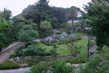<p>A view of the garden and its paths</p>