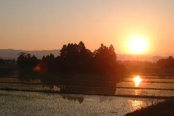 <p>Another day ending at a farm in Iide</p>
