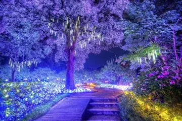 <p>The entire park was lit up</p>