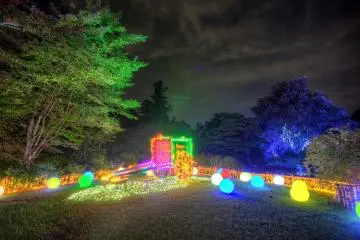<p>Cart decorated with LED lights&nbsp;</p>