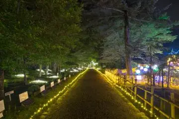 <p>Walkway inside the park</p>