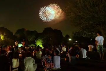 <p>Watching the fireworks with loved ones amidst a beautiful summer evening.</p>