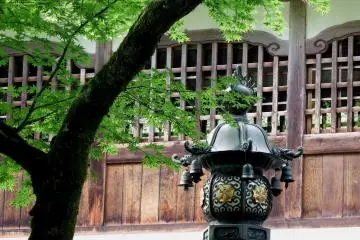 <p>Tree, bronze lantern and wooden temple building</p>