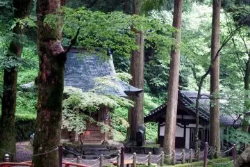 I didn't have time to explore these small shrines but will go back again!