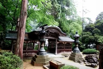 Gallery image