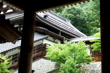 <p>View of the temple buildings and a green forest seen from Main Gate of Eiheiji Temple</p>