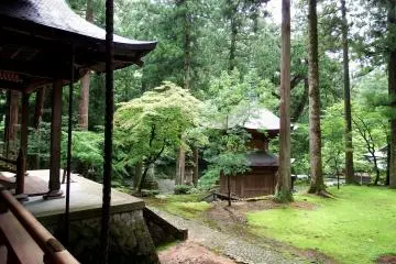 <p>Belfry, pagoda and green forest</p>