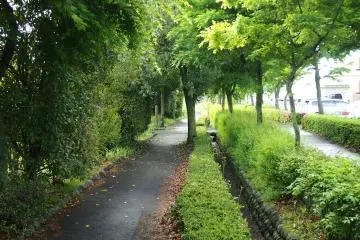 <p>Walk the Poppo Dori: The old railway line that led from Nishinasuno to Kurobane to supply Tokyo with wood and produce has had the first few kilometers turned into a walking track. &nbsp;Every season it is totally different</p>