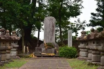 Gallery image