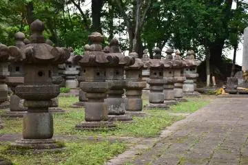 Gallery image