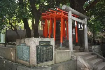 Gallery image