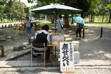 <p>Deer senbei for 150 yen</p>