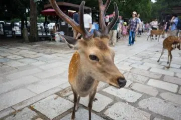 <p>Well, hello there!&nbsp;</p>
