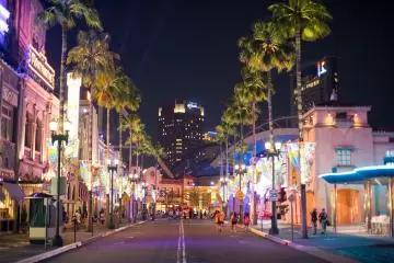 <p>The main street with trees and lights. It looks so magical.</p>