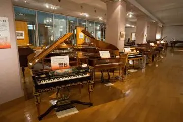 <p>Different type of piano</p>