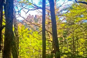 <p>The first view of Mount Mizugaki, albeit partially obscured&nbsp;</p>