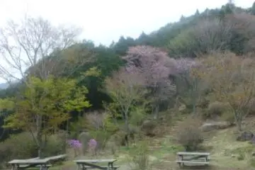 Tsutsujigaoka