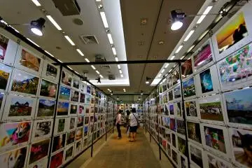 Gallery image