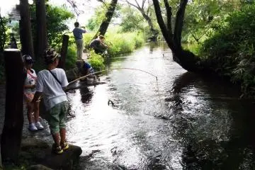 <p>Kolam Kappabuch</p>

