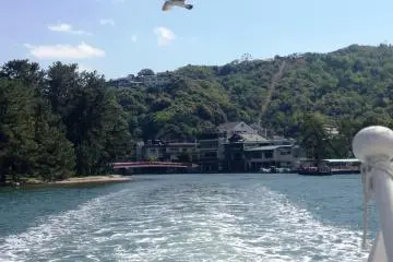 <p>As you leave Amanohashidate you see a few seagulls but will not think anything of it</p>