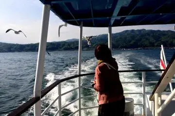 <p>It is almost unnatural for these seagulls to be that close to the boat</p>