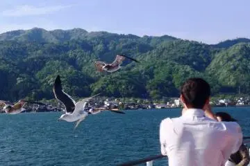 <p>You almost feel sorry for the birds as they try to land on the boat but can't due to the speed and gusts caused by the boat speeding away from them. It is like a cat and mouse race.</p>