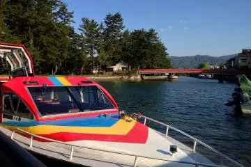 <p>No seagulls on the speedboat</p>