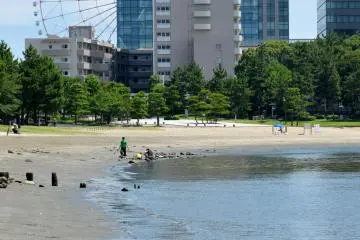 <p>Odaiba Marine Park. &nbsp;</p>