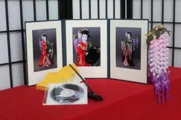 Japanese memories