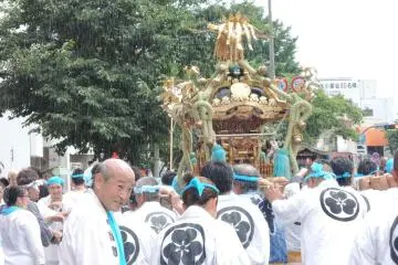They enjoy carrying portable shrines under the scorching sun