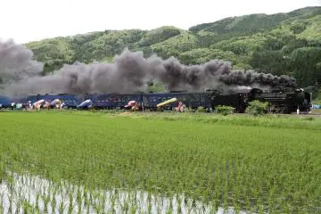 An event where horses run alongside a steam engine