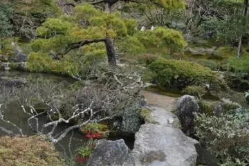 Path