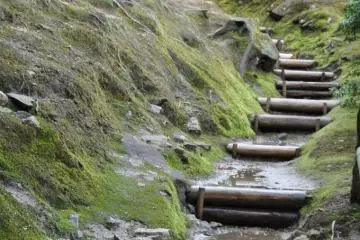 Flowing Stream