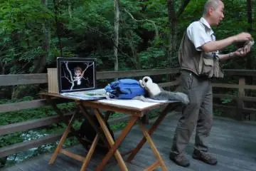 <p>Short lecture about the Japanese flying squirrel</p>