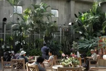 Relaxing in the atrium, Ran No Yakata.