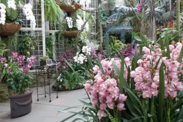 Orchids and flowers of all shapes, sizes and varieties can be enjoyed year round