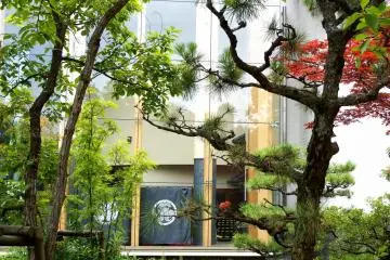 <p>Peeping at the windows of Fukui City History Museum through the trees. You can see the white crest of the&nbsp;Fukui Matsudaira Clan printed on a blue Japanese curtain</p>
