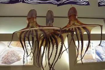 Dried Octopus in the fishing village (Photo: <a href="http://www.flickr.com/photos/karagon3783/3408044349/" target="_blank" rel="noreferrer noopener nofollow">가라곤</a>)