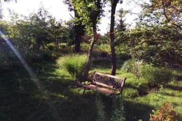 <p>Many secluded benches to sit and ponder, enjoy the scenery, or have a private conversation</p>