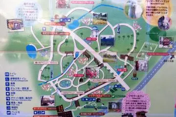 <p>A map of the area</p>