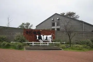 Welcome to Mother Farm